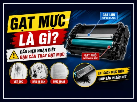 Gạt mực là gì? Dấu hiệu nhận biết bạn cần thay gạt mực